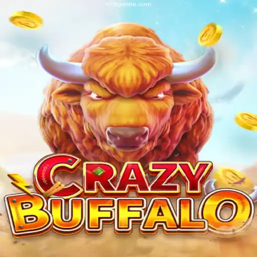 Exploring the Thrill of CRAZYBUFFALO