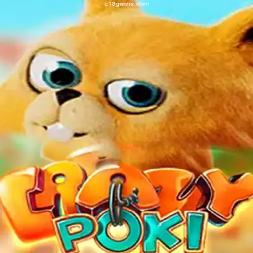 Exploring the Intricate World of CrazyPoki