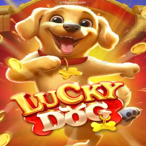 Exploring the Thrills of LuckyDog: A Comprehensive Guide