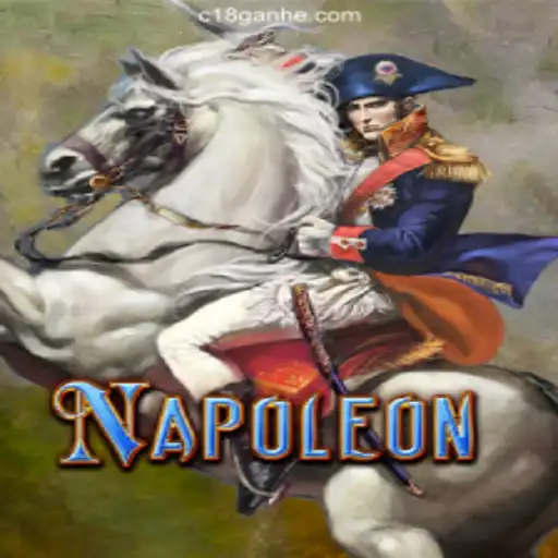 Exploring the Strategic Depths of the Game Napoleon